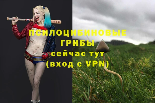 стафф Магадан