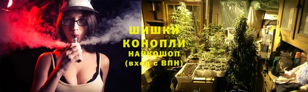 молекула духа Богданович