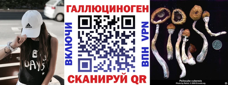 Псилоцибиновые грибы Psilocybe  хочу наркоту  Ермолино 